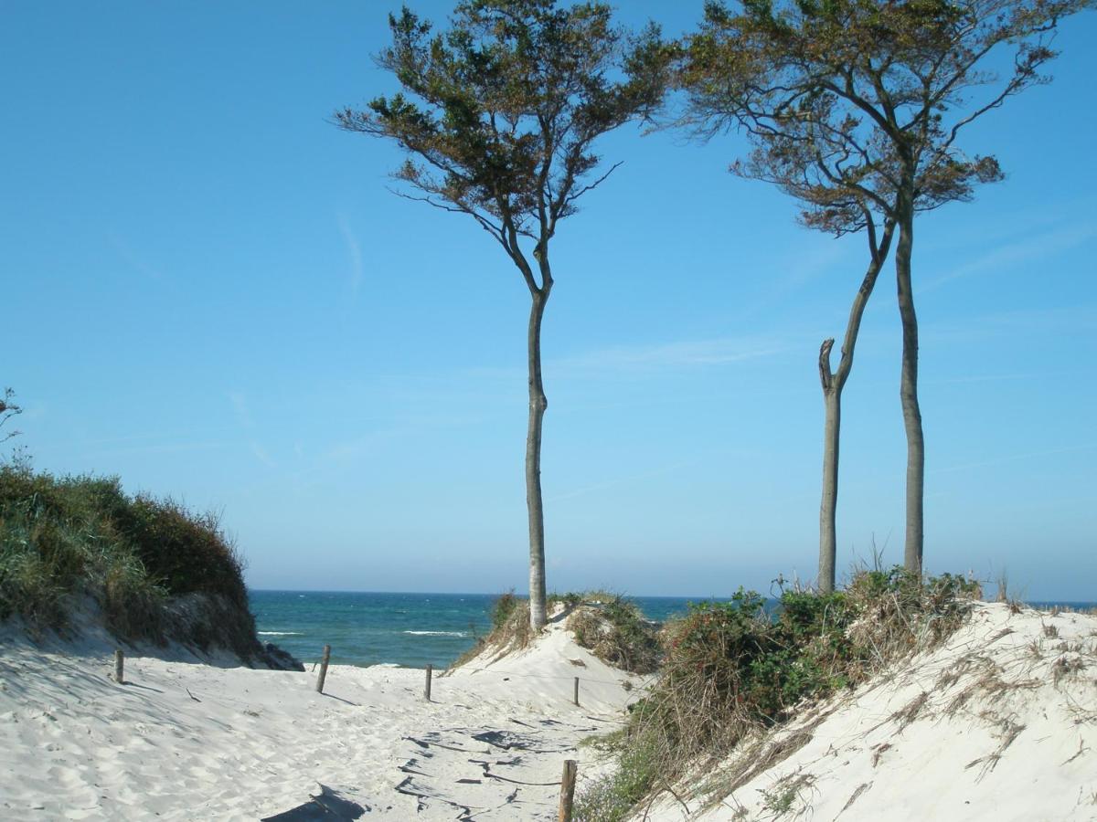 Appartamento Kavelweg 13 Whg 4 - Kleiner Kaeptn Zingst Esterno foto